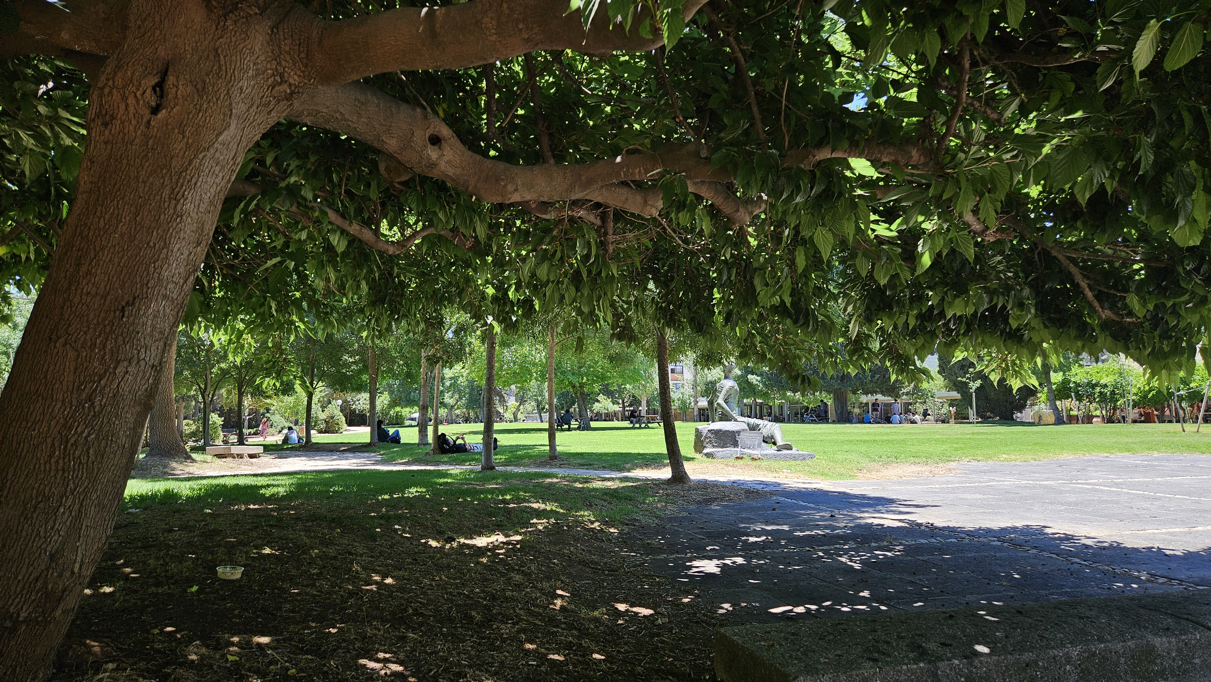 In the shade outside the IIAS on the Givat Ram campus
