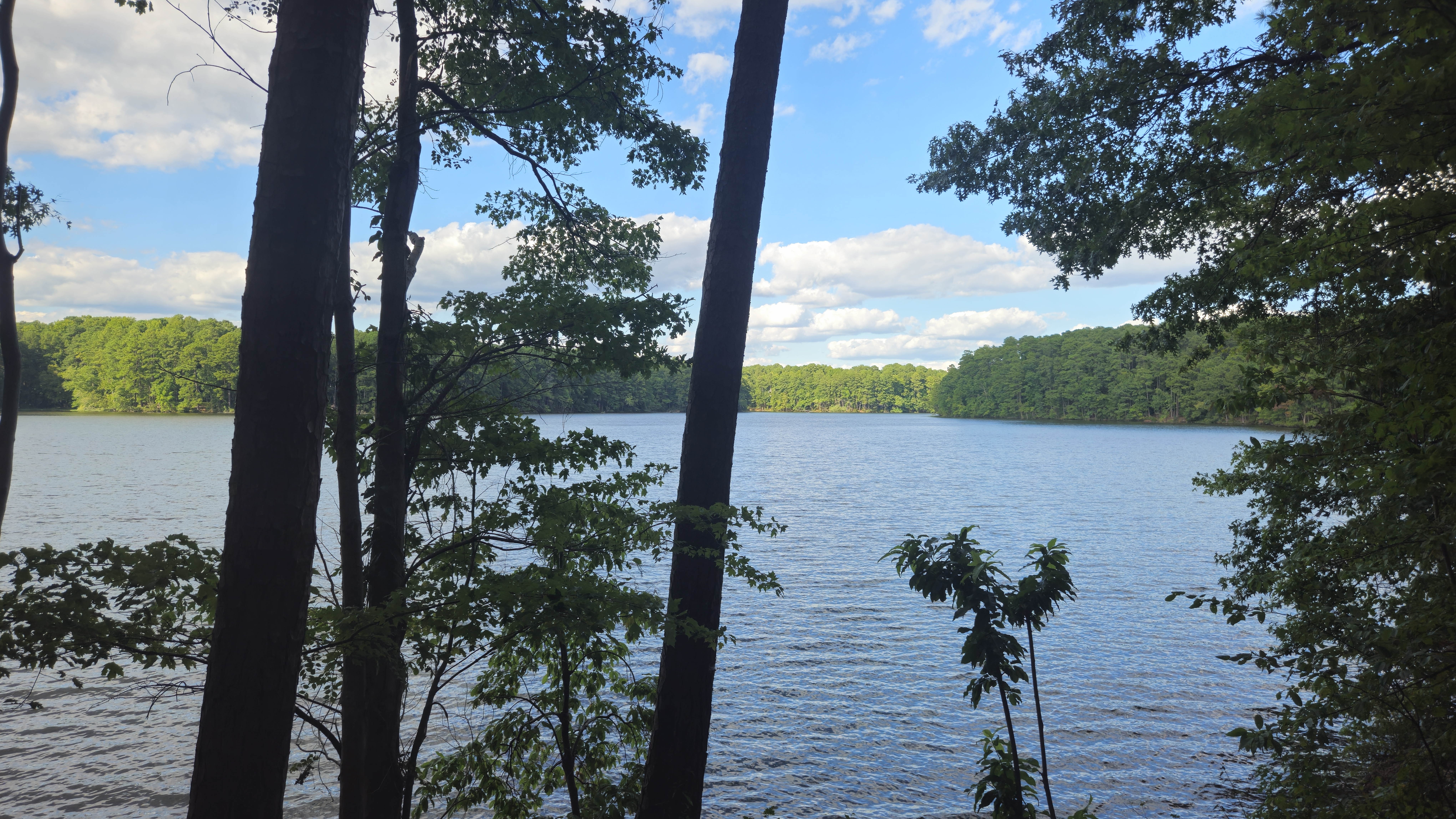 lake johnson