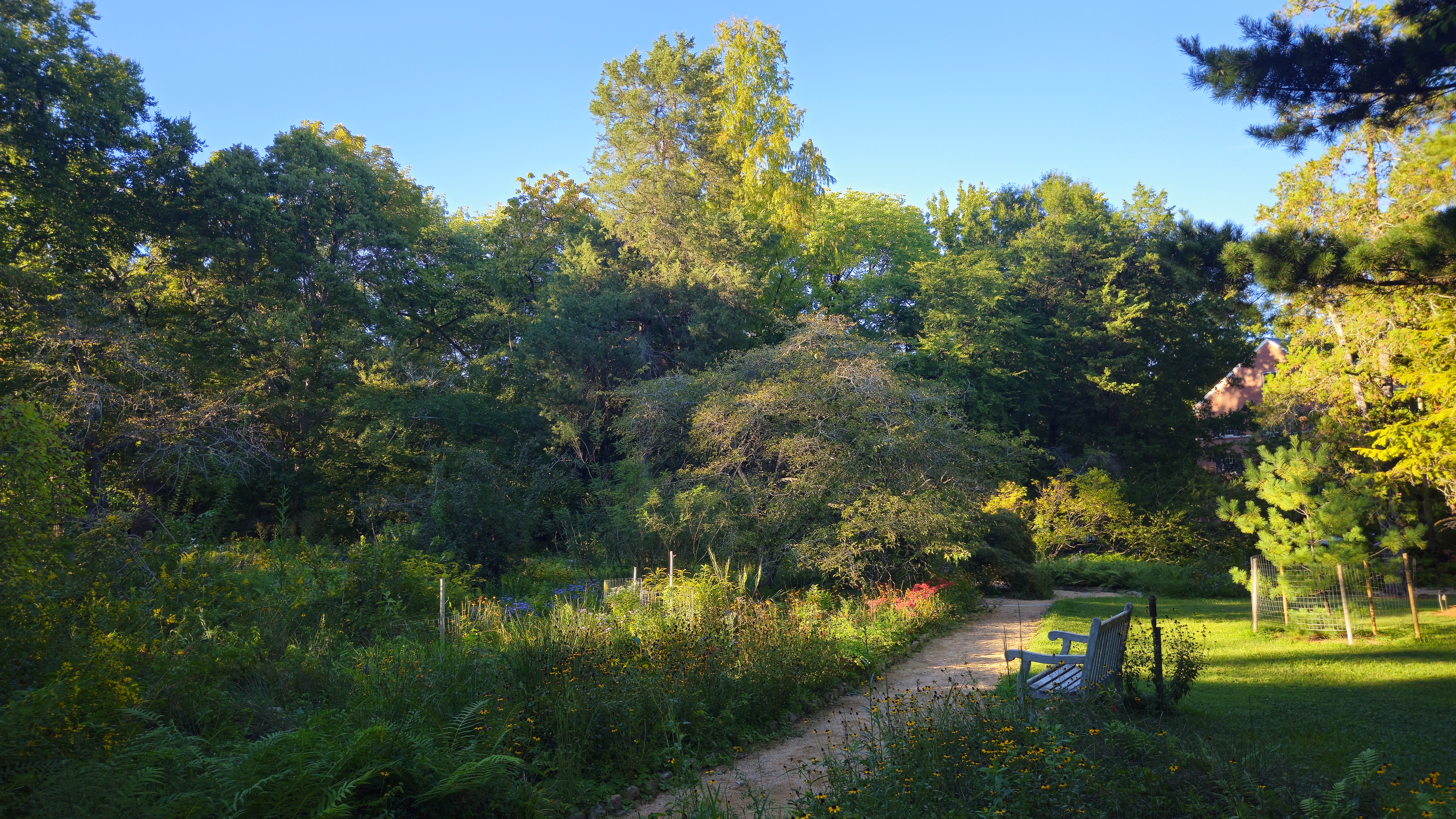 UNC arboretum